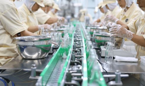 品鉴oem燕窝代加工厂 专注滋补养生产品，以专业匠心进军花胶市场