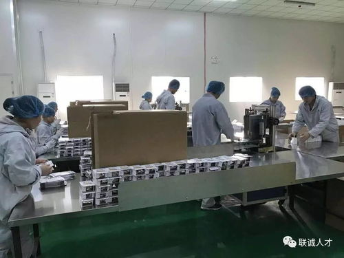 自家工厂，放心美味——联诚食品加工厂为您提供“保姆级”品质守护