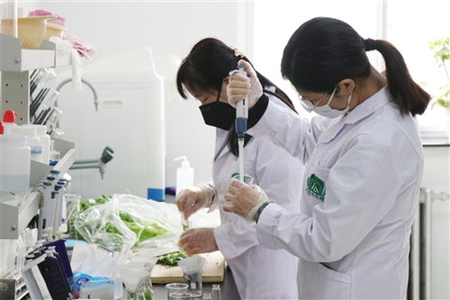 河北涿州“硬核农业保姆”上线 远程看管，科技赋能农产品生产